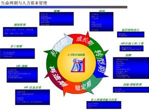  引入结果战略,加快企业发展