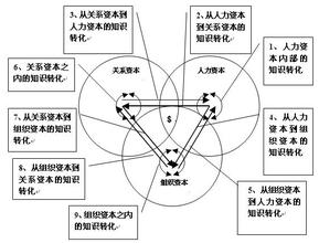  企业驱动力的源泉