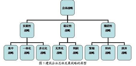  咨询中常常需要考虑的企业发展战略与管理提纲