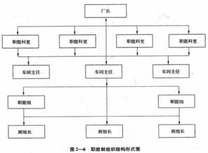  职能制和团队结构（上）