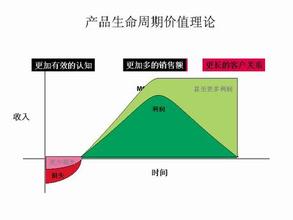  基于产品生命周期的企业可持续发展战略