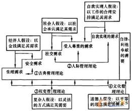  管理的假定