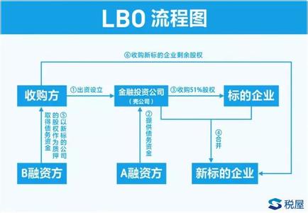  MBO效应及其实施问题研究