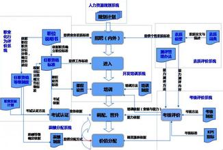  适者生存，建立基于能力的人力资源管理体系