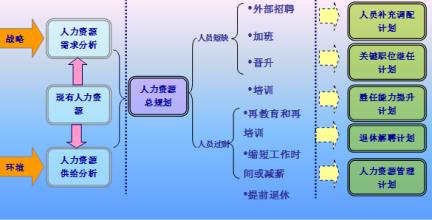  人力资源规划的定义与原则