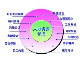  打造HR“孵化器”——人力资源从业人员的培养途径