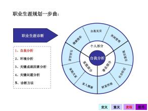  职业生涯规划与管理实操（中）