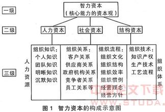  人力资本的核心是智力资本