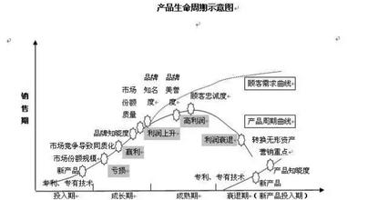  产品生命周期战略