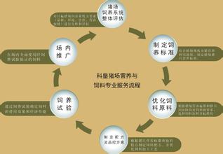  废钢铁企业生产系统优化模型