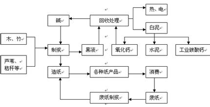  造纸工业现况与滨州“北带”开发战略