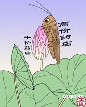 平价药房“分层定价”化解多方摩擦