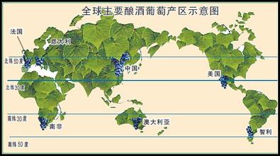  2005年世界主要产区酿酒葡萄收获报告