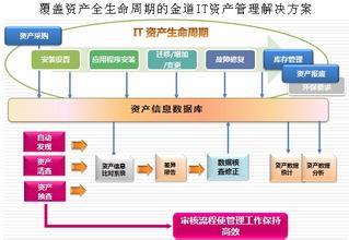  IT厂商行业服务需要什么执行力