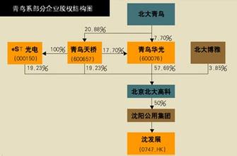  新闻调查：北大青鸟疯狂扩张资金链可能断裂