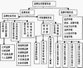  品牌管理：品牌经营系统策划