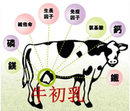  牛初乳市场分析