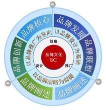  2005十大跨国品牌商誉受损事件