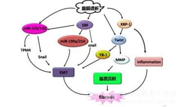  通路创新