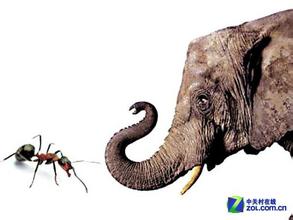  “蚂蚁”挑战“大象”的路径