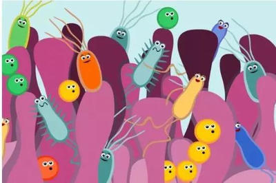 益生菌对人体的作用 好细菌未能达到肠道