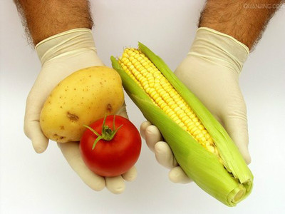 基因食品人吃了会怎么样 致癌精子活力下降农业部辟谣
