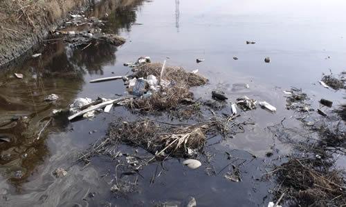 关于河水污染的作文800 关于河水污染的作文