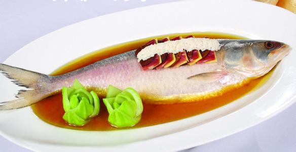 长江鲥鱼图片 鲥鱼[图片]