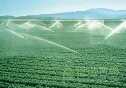节水灌溉 节水灌溉-基本内容
