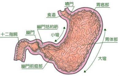 糖尿病病因和发病机制 浅表性胃窦炎 浅表性胃窦炎-简介，浅表性胃窦炎-病因和发病机制