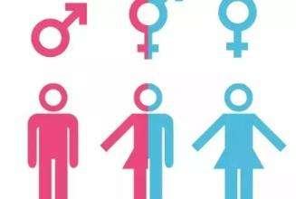 跨性别 跨性别-释义，跨性别-分类