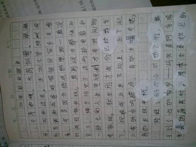 故乡的冬天作文600字 20年后回故乡作文600字8篇