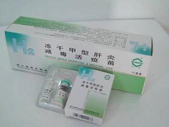甲肝疫苗 甲肝疫苗-药品简介，甲肝疫苗-甲型肝炎
