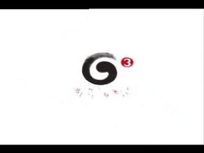 G3 G3-简介，G3-标识