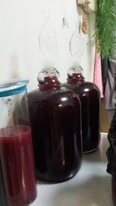 干红葡萄酒制造方法 自酿干红葡萄酒