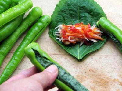 苏子叶泡菜 韩国料理――青辣椒苏子叶包馅泡菜