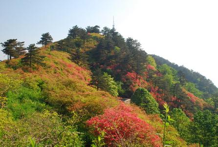 千佛山 辽宁  千佛山 辽宁 -简介