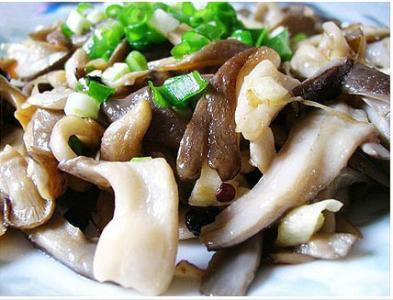 蘑菇怎么炒好吃 炒平菇