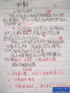 我爱我家作文250字 我爱我家作文300字