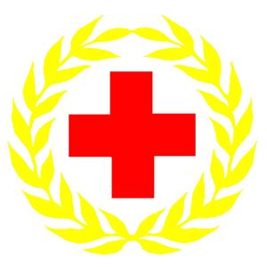 中国红十字总会 中国红十字总会-中国红十字会主要职责，中国红十