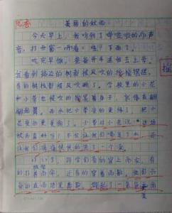 秋雨作文600字 关于秋雨的作文600字（精选8篇）