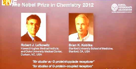 诺贝尔化学奖 诺贝尔化学奖-概述，诺贝尔化学奖-评选过程