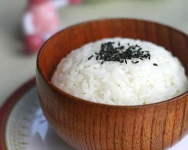 微波炉专用焖米饭锅 微波炉焖米饭