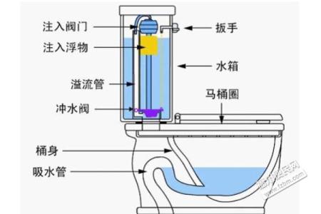 论坛抽水机 抽水 抽水-基本解释，抽水-论坛抽水