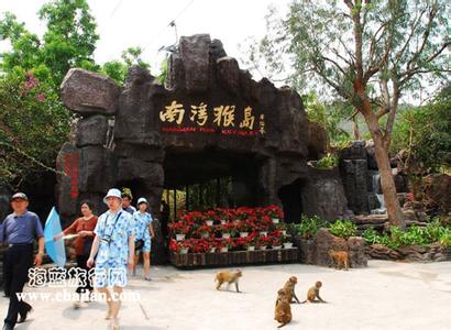 南湾猴岛跟团一日游 南湾猴岛一日游