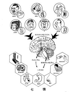 中医七情内伤 内伤 内伤-通用概念，内伤-中医概念
