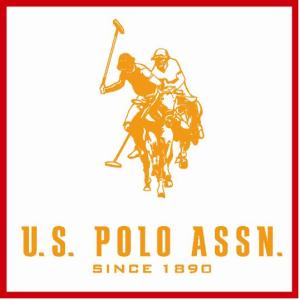 美国马球协会 美国马球协会-百年历史，美国马球协会-马球运动