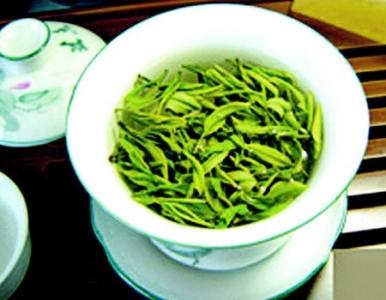 崂山绿茶 崂山绿茶 崂山绿茶-基本介绍，崂山绿茶-制作工艺
