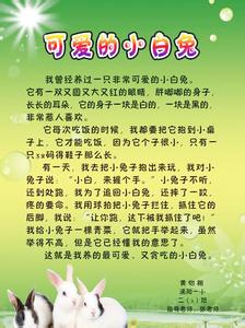 清除小广告作文 清除小广告作文300字