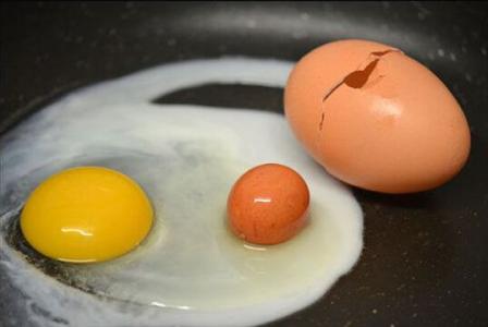 蛋中蛋 蛋中蛋-全球发现，蛋中蛋-产生原因